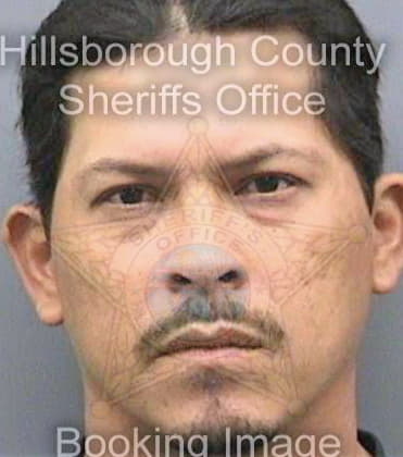 Maldonado Ricardo - Hillsborough County, FL 