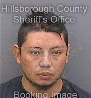 Hernandez Omar - Hillsborough County, FL 
