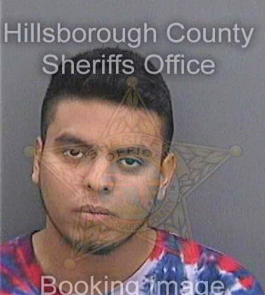 Delcidgarcia Kevin - Hillsborough County, FL 