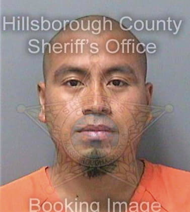 Reymundobautista Mario - Hillsborough County, FL 