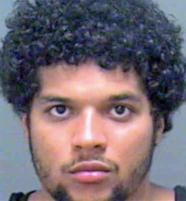 Middlebrooks Anthony - Mecklenburg County, NC 