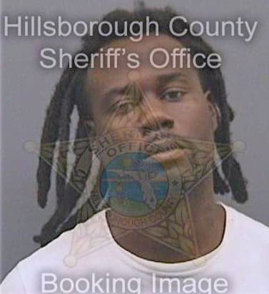 Simpson Leroy - Hillsborough County, FL 
