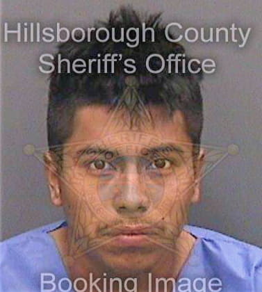 Garcia David - Hillsborough County, FL 