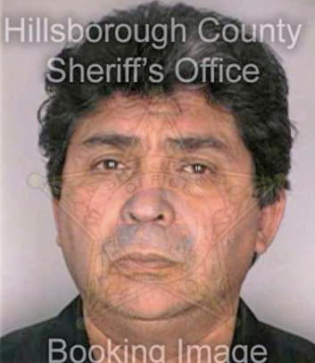 Mendoza Paul - Hillsborough County, FL 