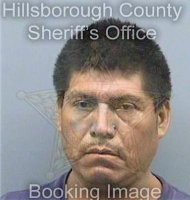 Bravoperez Anastacio - Hillsborough County, FL 