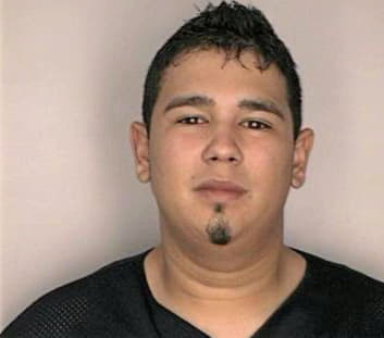 Medina Erik - Hillsborough County, FL 