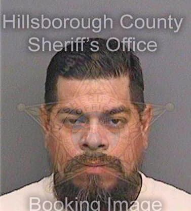 Guillen Frank - Hillsborough County, FL 