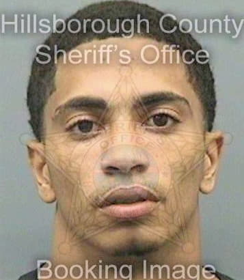 Mcghee Denzel - Hillsborough County, FL 