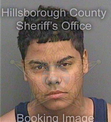 Vazquezmorales Michael - Hillsborough County, FL 