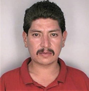 Crisantos Arturo - Hillsborough County, FL 