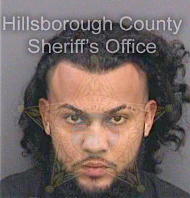 Perezpichardo Andrews - Hillsborough County, FL 