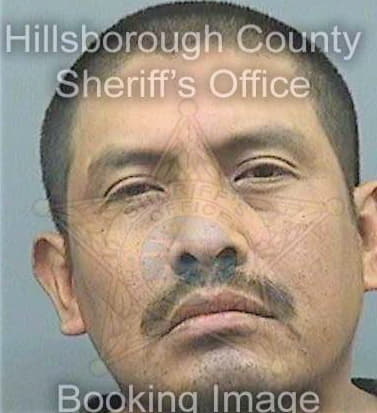 Campos Lazaro - Hillsborough County, FL 