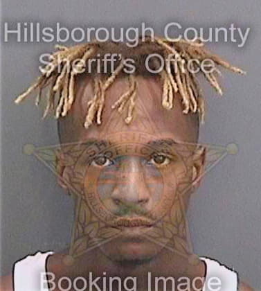 Nelson Darren - Hillsborough County, FL 