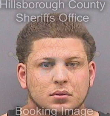 Migueltorena Josue - Hillsborough County, FL 