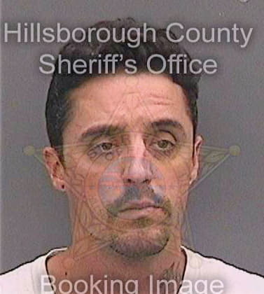 Copson David - Hillsborough County, FL 