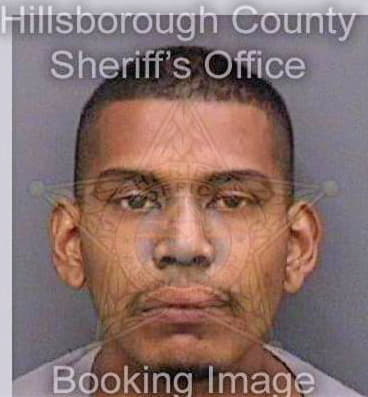 Correa Cesar - Hillsborough County, FL 