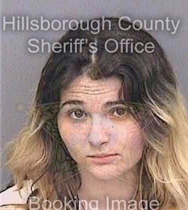 Davis Lacey - Hillsborough County, FL 