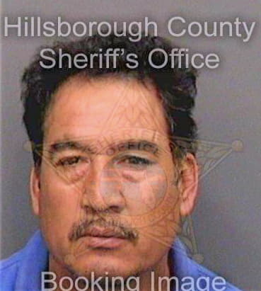 Vazquez Arnulfo - Hillsborough County, FL 