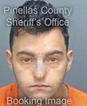 Mckay Michael - Pinellas County, FL 