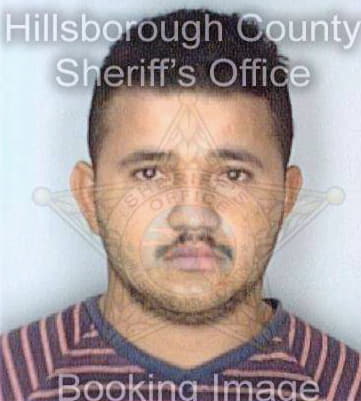 Hernandez Walter - Hillsborough County, FL 