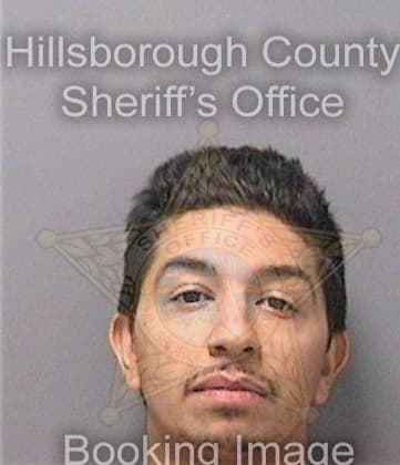 Delrio William - Hillsborough County, FL 