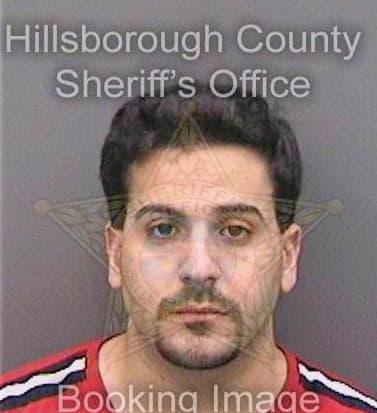 Silver Justin - Hillsborough County, FL 