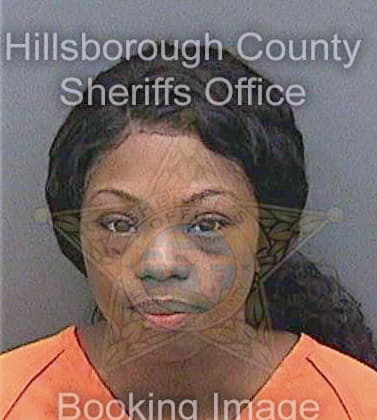 Warren Dasha - Hillsborough County, FL 