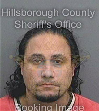 Dejesus Alfonso - Hillsborough County, FL 