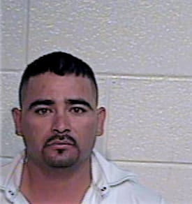 Hernandez Luis - Hidalgo County, TX 