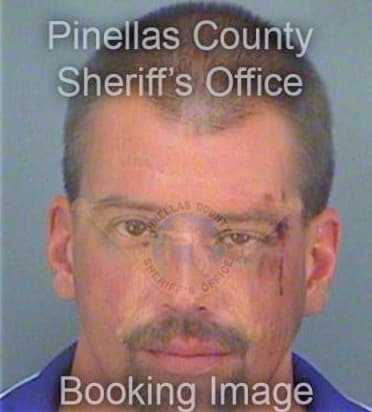 Brown Ryan - Pinellas County, FL 