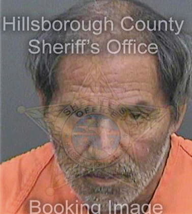 Delatorremorales Jesus - Hillsborough County, FL 