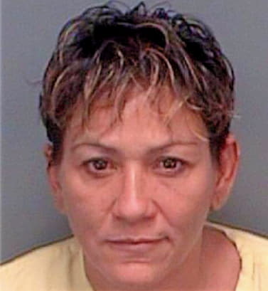 Guzman Maribel - Pinellas County, FL 