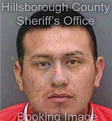 Chunperez Alain - Hillsborough County, FL 