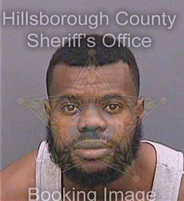 Dorsey Cedric - Hillsborough County, FL 