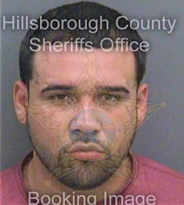 Juarez Emilio - Hillsborough County, FL 