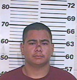 Guerrero Gilberto - Hidalgo County, TX 