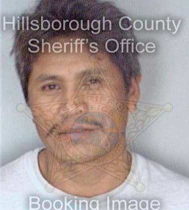 Perez Juan - Hillsborough County, FL 