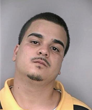 Mendezhernandez Omar - Hillsborough County, FL 