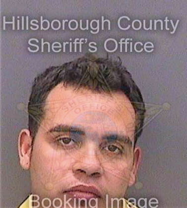 Sanzperez Robert - Hillsborough County, FL 