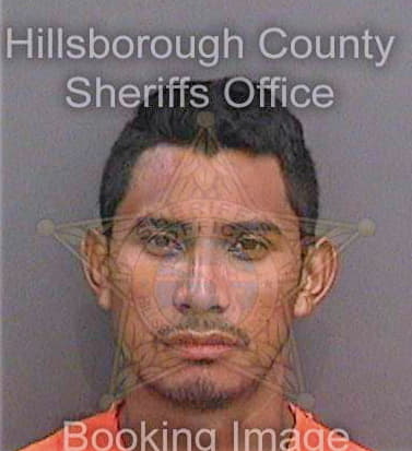 Gomezperez Marcos - Hillsborough County, FL 