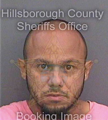Mendez Jose - Hillsborough County, FL 