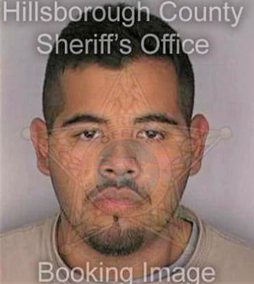 Sanchez Juan - Hillsborough County, FL 