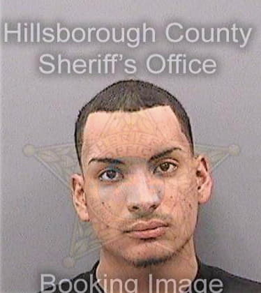 Betancourt Jan - Hillsborough County, FL 