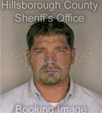 Mcnulty Michael - Hillsborough County, FL 