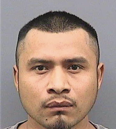 Lopezgonzalez Alvino - Hillsborough County, FL 