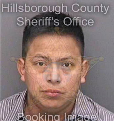 Saratsarat Armando - Hillsborough County, FL 