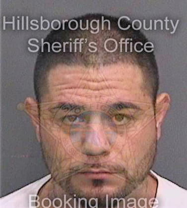 Weimer Anthony - Hillsborough County, FL 