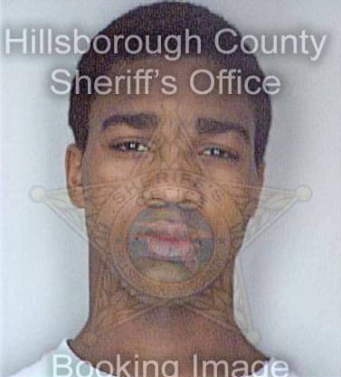 Mickens Matt - Hillsborough County, FL 