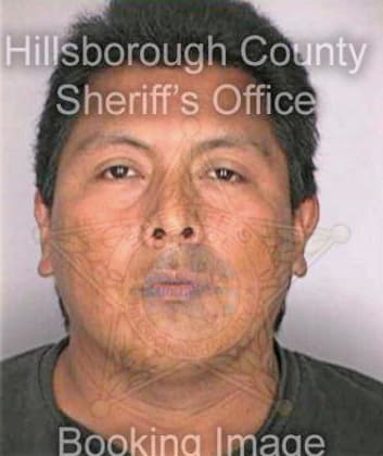 Nicholas Arturo - Hillsborough County, FL 