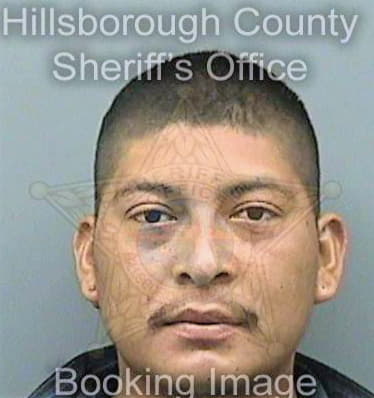 Silva Lorenzo - Hillsborough County, FL 